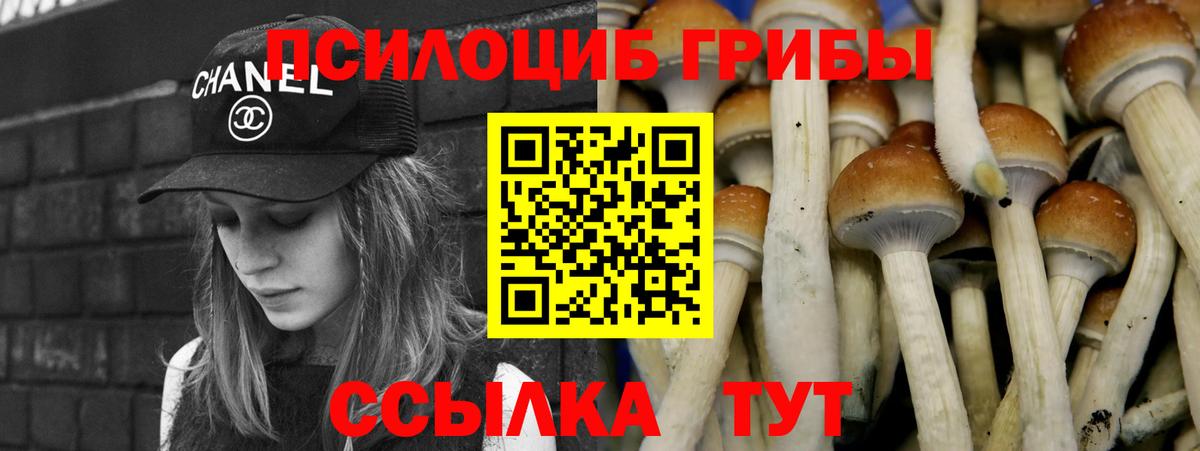 Псилоцибиновые грибы мухоморы Городец